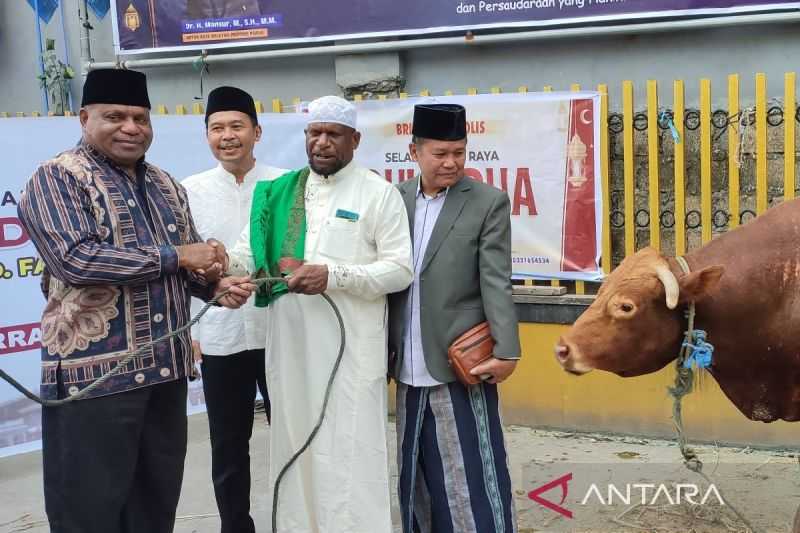 Pengurus Masjid: Non Muslim di Jayapura Tetap Dapat Daging Kurban